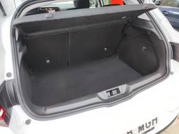 RENAULT MEGANE lleno
